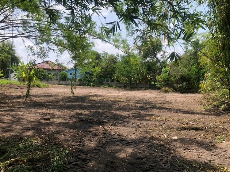 ที่ดินเชียงใหม่ ดอยสะเก็ด เชิงดอย ใกล้โรงพยาบาลดอยสะเก็ด    ใกล้, ภาพที่ 4