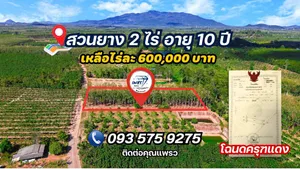 ห้ามพลาด สวนยางพาราสวยๆ ทำเลดี วิวภูเขา ราคาถูกที่สุด
