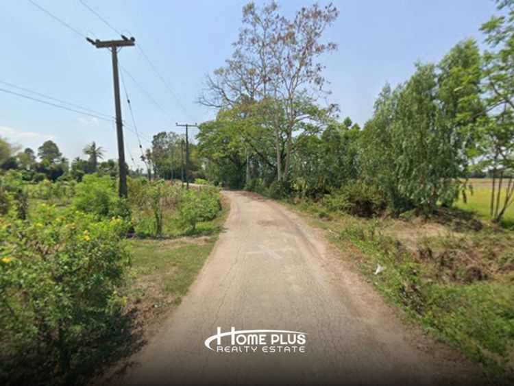 ที่ดิน 20 ไร่ ตำบลวัดตายม อำเภอบางกระทุ่ม จังหวัดพิษณุโลก, ภาพที่ 4