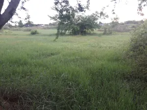 ขายที่ดิน 65 ตรว จังหวัดอุบลราชธานี เหมาะสำหรับบ้านจัดสรร / นักลงทุน