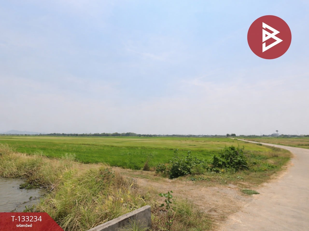 ขายที่ดิน เนื้อที่ 14 ไร่ 3 งาน 99 ตร.วา สมอแข พิษณุโลก