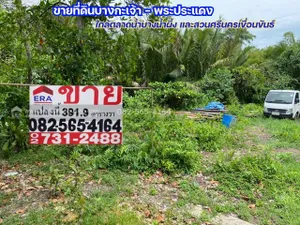 ขายที่ดินเปล่า 391.9 ตารางวา ที่ดินอยู่ในเขตพื้นที่สีเขียว (กระเพาะหมู) บางกะเจ้า - พระประแดงใกล้ตลาดน้ำบางน้ำผึ้ง และสวนศรีนครเขื่อนขันธ์