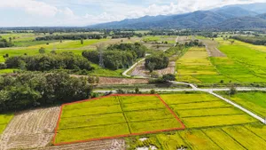 ขายที่ดินวิวภูเขา 3 ไร่ ต.แม่เย็น อ.พาน เชียงราย หน้ากว้างติดถนน
