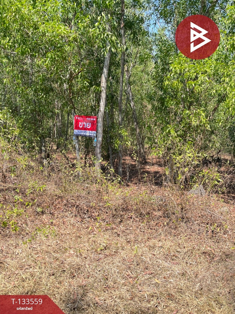 ขายที่ดิน 2 แปลง เนื้อที่รวม 4 ไร่ หนองเสือ ปทุมธานี