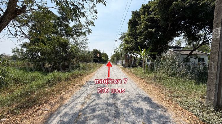 ที่ดินเปล่า 98 ตารางวา ซอยสังฆสันติสุข 38 หนองจอก กรุงเทพฯ ราคาถูก, ภาพที่ 4