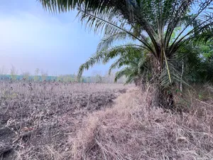 ขาย ที่ดิน ตำบลหินดาด อำเภอทองผาภูมิ จังหวัดกาญจนบุรี