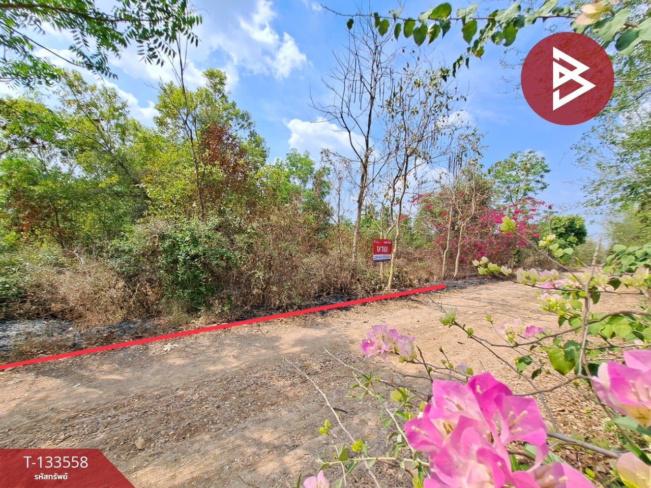 ขายที่ดิน เนื้อที่ 1 งาน 43 ตร.วา บางน้ำเปรี้ยว ฉะเชิงเทรา