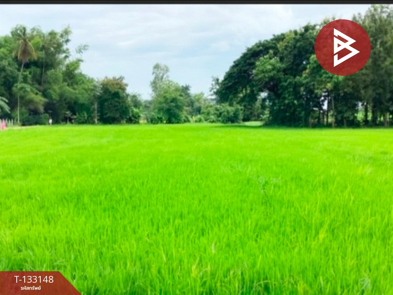 ขายที่ดิน เนื้อที่ 2 ไร่ 1 งาน 47 ตร.วา บ้านด่าน อุตรดิตถ์