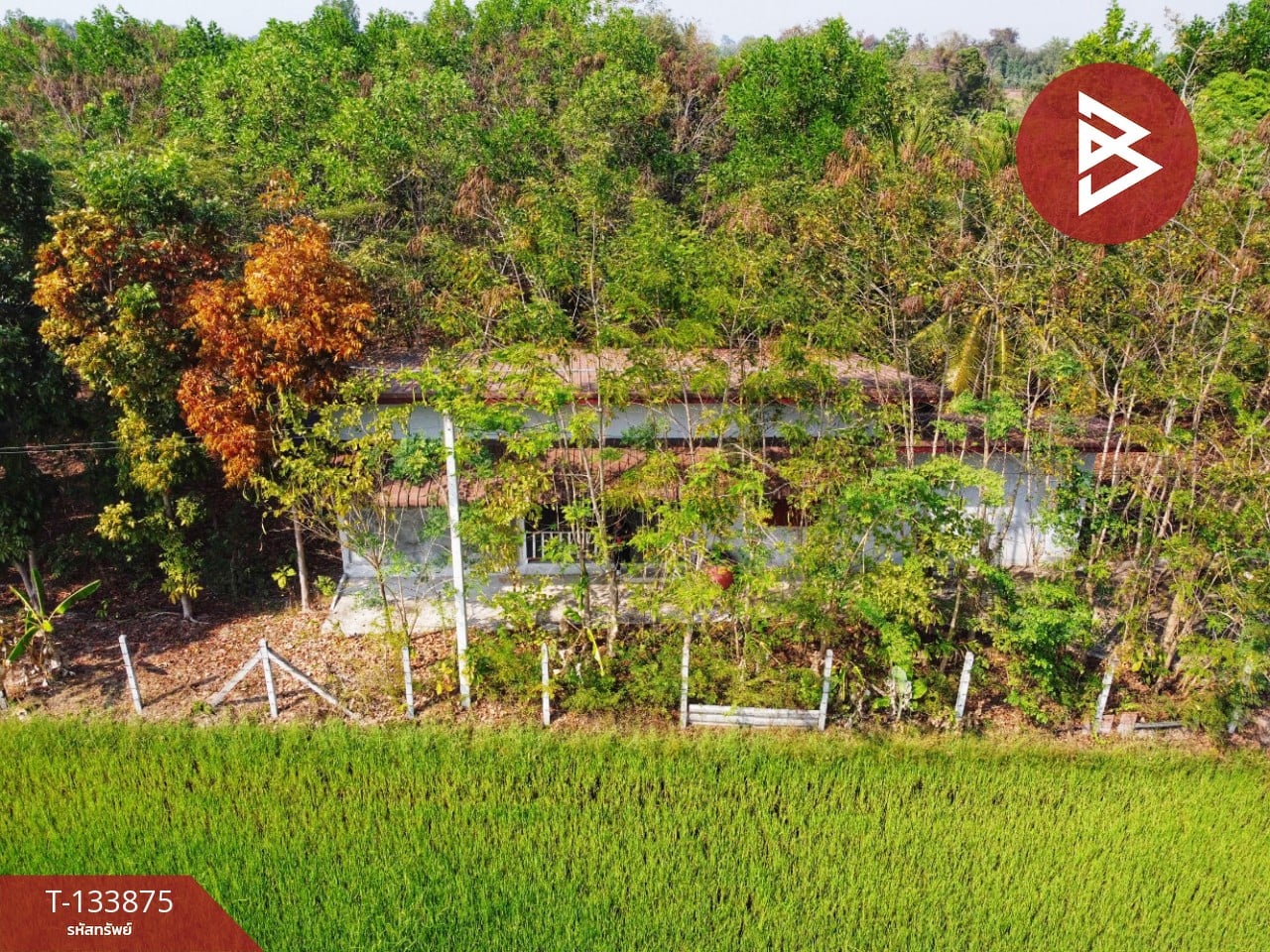 ขายบ้านเดี่ยวพร้อมที่ดิน เนื้อที่ 4 ไร่ 2 งาน 88 ตร.วา หนองฉาง อุทัยธานี