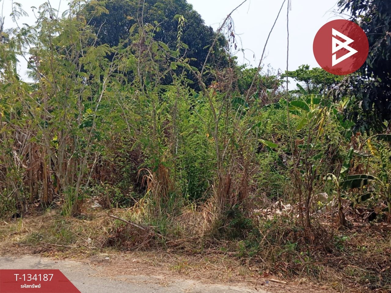 ขายที่ดิน เนื้อที่ 2 งาน 84 ตร.วา แหลมสิงห์ จันทบุรี