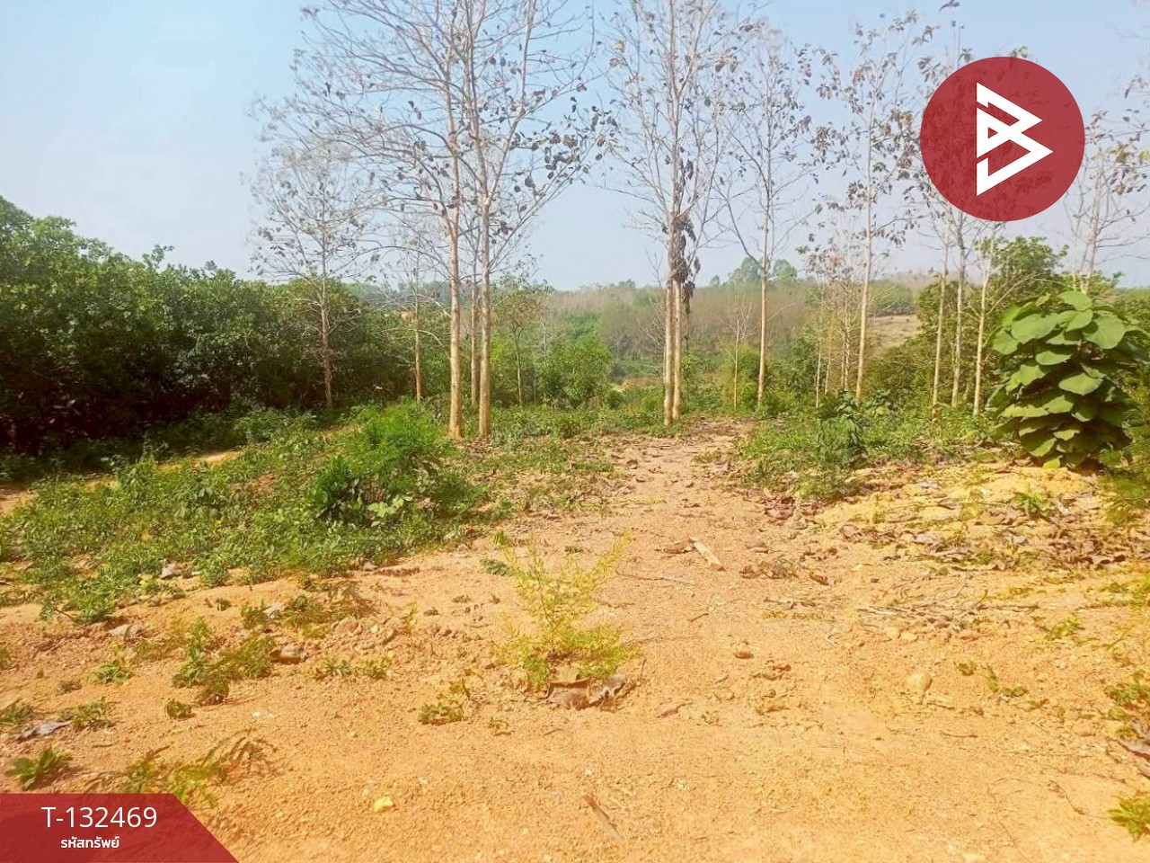 ขายที่ดิน เนื้อที่ 4 ไร่ ท่าปลา อุตรดิตถ์