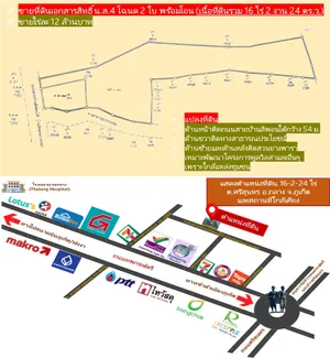 #ขายที่ดิน 16 ไร่เศษ ต.ศรีสุนทร อ.ถลาง จ.ภูเก็ต (ไร่ละ 12 ล้านบาท) 