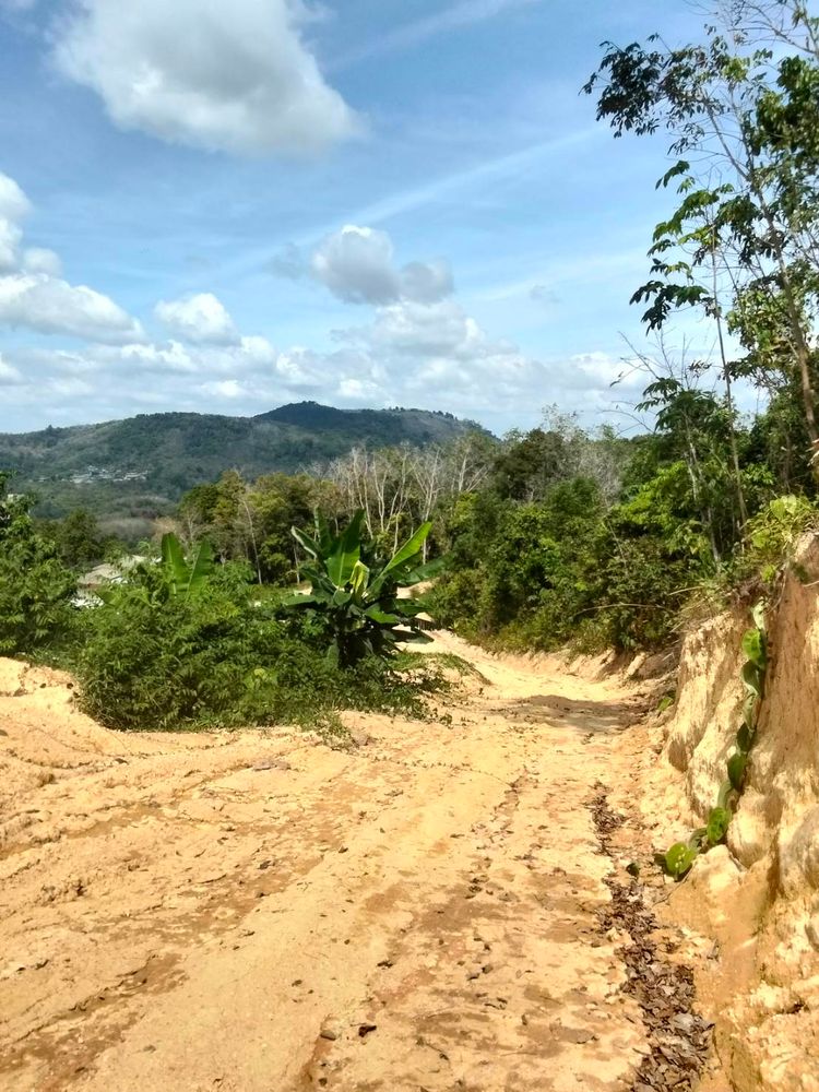 ขาย ที่ดิน ตำบลเชิงทะเล อำเภอถลาง จังหวัดภูเก็ต, ภาพที่ 4