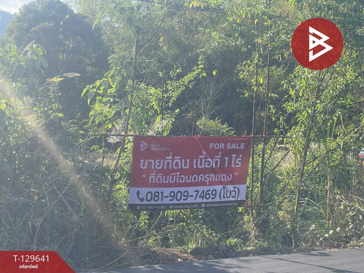 ขายที่ดิน เนื้อที่ 1 ไร่ ทองผาภูมิ กาญจนบุรี