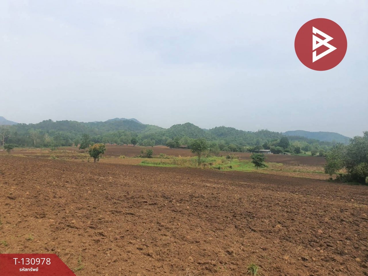 ขายที่ดิน เนื้อที่ 17 ไร่ 2 งาน 61 ตร.วา ห้วยสะแก เพชรบูรณ์