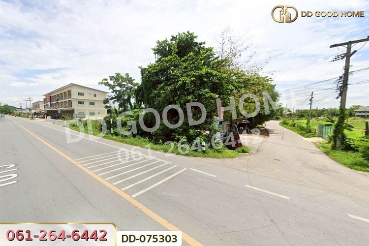 DD-075303 ที่ดินริมปิง 2 ไร่ 116 ตร.ว. ลำพูน ใกล้วัดพระธาตุหริภุญชัย, ภาพที่ 4