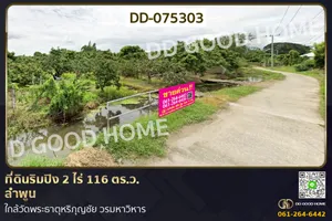 DD-075303 ที่ดินริมปิง 2 ไร่ 116 ตร.ว. ลำพูน ใกล้วัดพระธาตุหริภุญชัย วรมหาวิหาร