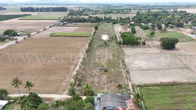 ที่ดินเปล่า 10-3-36 ไร่ ท่าม่วง กาญจนบุรี ปลูกต้นสักทองกว่า 500 ต้น, ภาพที่ 4