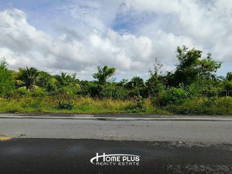 ที่ดินพร้อมสวนมะพร้าว ตำบลเกาะเพชร, ภาพที่ 4