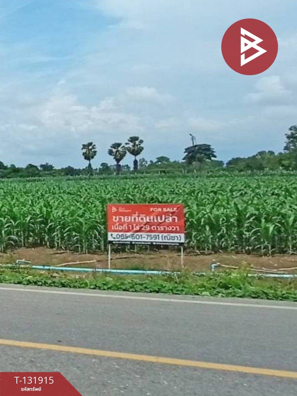 ขายที่ดิน เนื้อที่ 1 ไร่ 29 ตร.วา บึงพระ พิษณุโลก