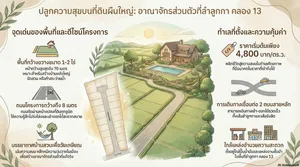 ขาย ที่ดิน ตำบลพืชอุดม อำเภอลำลูกกา จังหวัดปทุมธานี