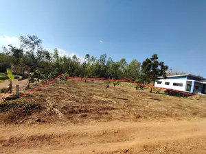 ขาย ที่ดิน ตำบลนางั่ว อำเภอเมืองเพชรบูรณ์ จังหวัดเพชรบูรณ์