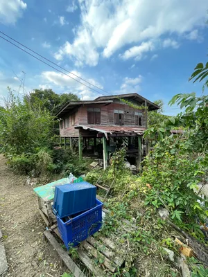 ขายที่ดินพร้อมบ้านไม้ นนทบุรี 1 งาน 34 ตรว. ต่ำกว่าราคาประเมิน เจ้าของขายเอง ตำบลบางเลน