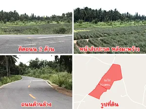 สวนมะพร้าว-สับปะรด 56 ไร่ อ.สามร้อยยอด จ.ประจวบ ใกล้ถนนเพชรเกษมเพียง 3.5 กม.