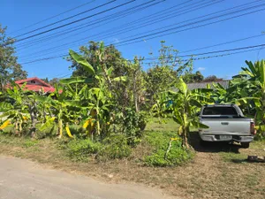 ที่ดินปล่าว