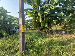 ขายที่ดินถมแล้ว ใกล้บึงหนองบอน สวนหลวง ร.9
