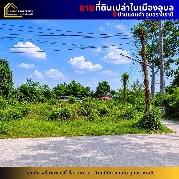 [ขาย] ที่ดินในเมืองอุบล แปลงสวย ติดถนน 2 ด้าน ใกล้ขนส่งใบขับขี่, ภาพที่ 4
