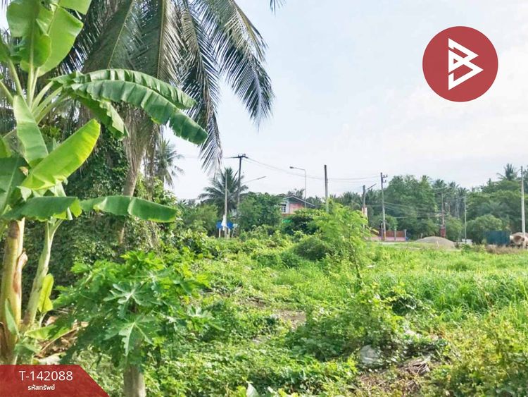 ขายที่ดิน เนื้อที่ 1 งาน 65 ตร.วา บางคนที สมุทรสงคราม, ภาพที่ 4