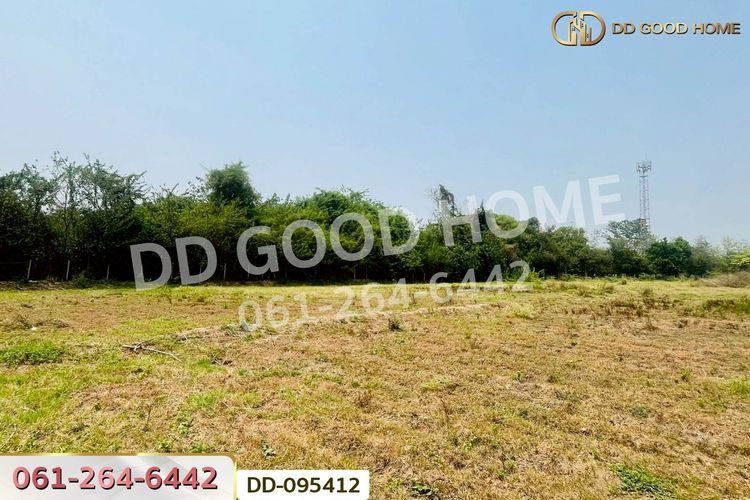 ที่ดินสันกำแพง 4 ไร่ 316 ตร.ว. เชียงใหม่ ใกล้ตลาดหัตถกรรมบ้านบ่อสร้าง, ภาพที่ 4