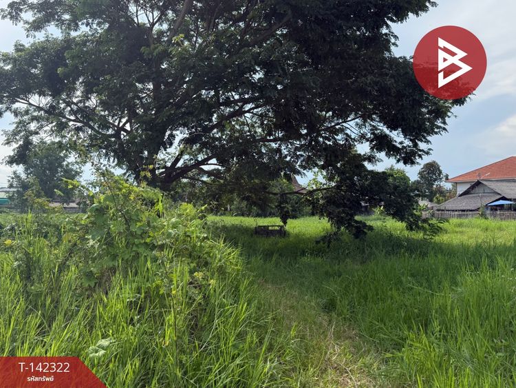 ขายที่ดิน เนื้อที่ 3 งาน 83 ตร.วา ดอยสะเก็ด เชียงใหม่, ภาพที่ 4