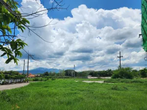 ขาย ที่ดิน ตำบลสันโป่ง อำเภอแม่ริม จังหวัดเชียงใหม่