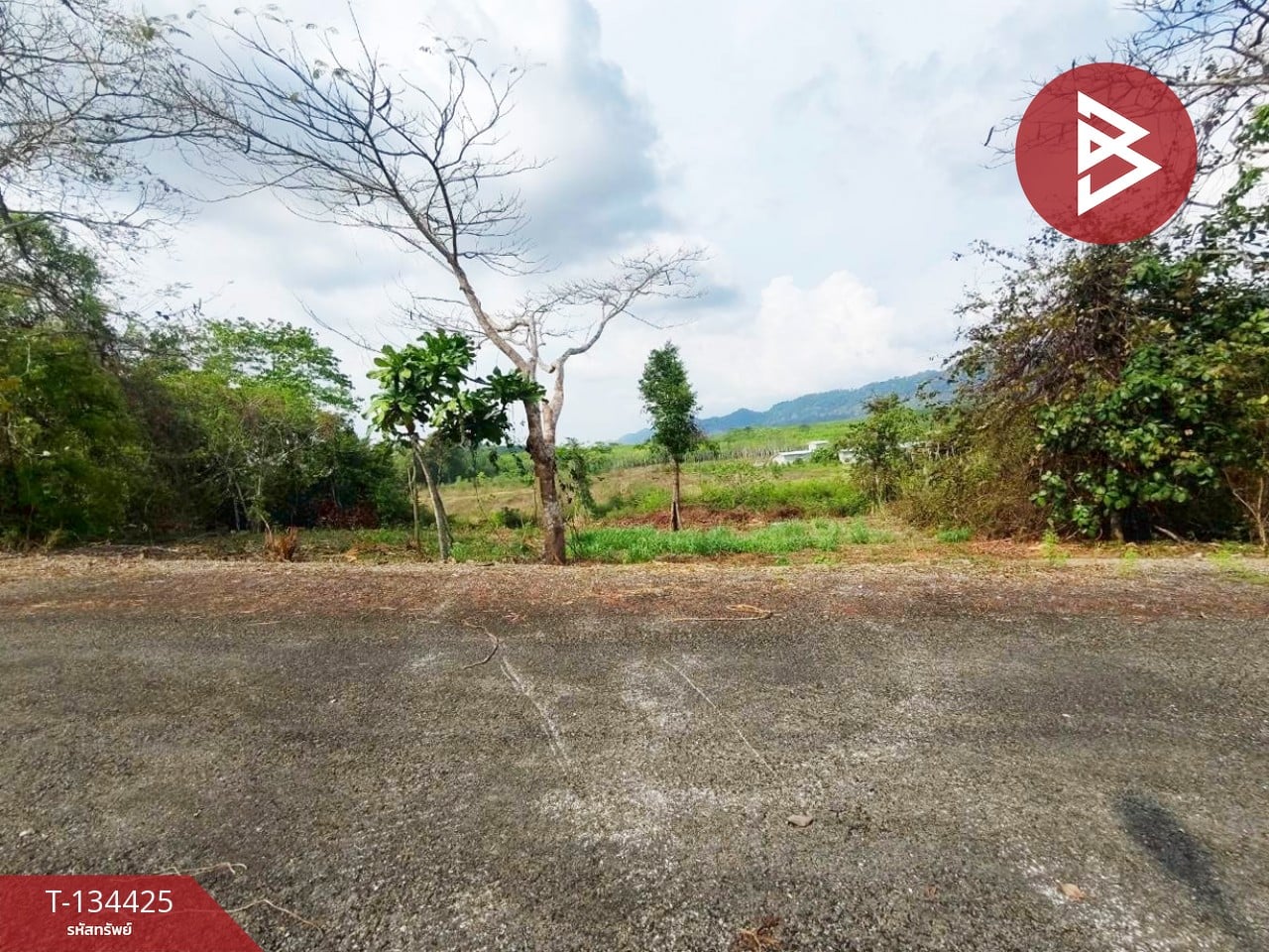 ขายที่ดิน เนื้อที่ 1 ไร่ 46 ตร.วา แก่งหางแมว จันทบุรี