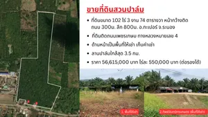 ที่ดินสวนปาล์ม 102 ไร่ 3 งาน 74 ตารางวา อ.กะเปอร์ จังหวัดระนอง
