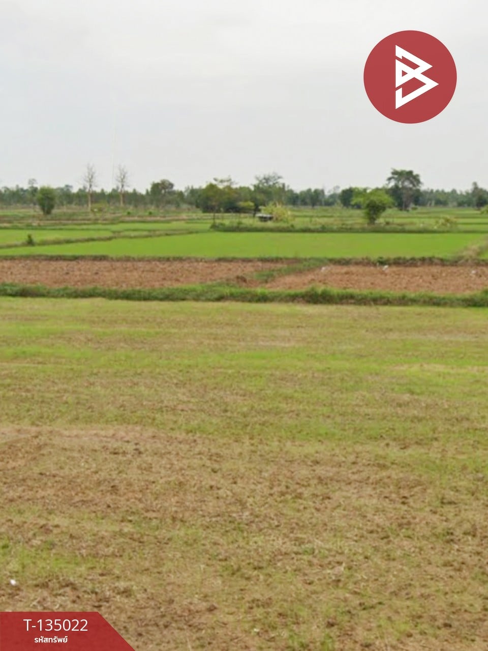 ขายด่วน ที่ดินเปล่า 4 ไร่  ประโคนชัย บุรีรัมย์
