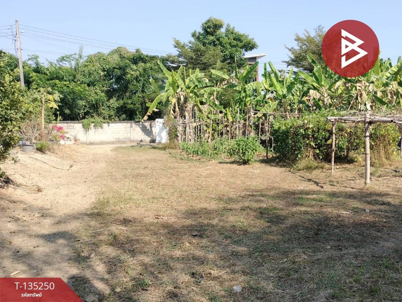 ขายที่ดิน เนื้อที่ 2 งาน 23 ตร.วา ในเมือง พิษณุโลก
