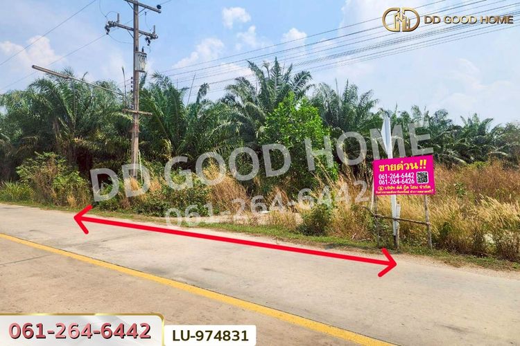 LU-974831 ที่ดินบ้านโค้งประดู่เทศบาล 5 เกาะจันทร์ 80 ตร.ว. ชลบุรี, ภาพที่ 4