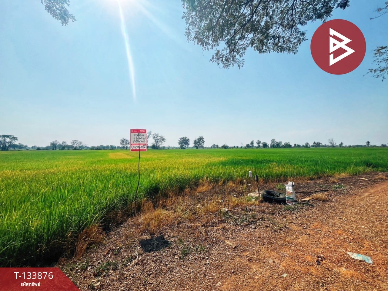 ขายที่ดิน เนื้อที่ 6 ไร่ สรรพยา ชัยนาท