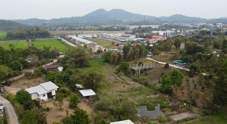 ที่ดินเมืองเชียงราย ที่ดินใกล้มหาวิทยาลัยแม่ฟ้าหลวง, ภาพที่ 4