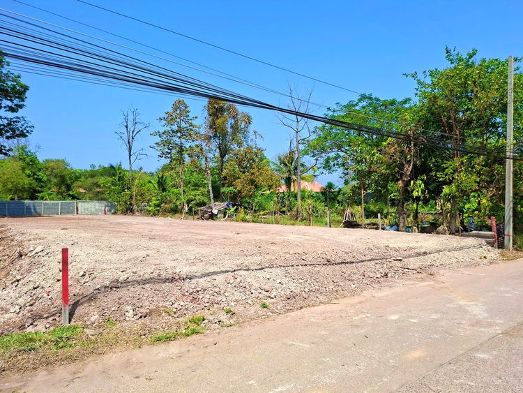 ขายที่ดิน 180 ตร.วา ร.8แคมปิ้ง , ภาพที่ 4