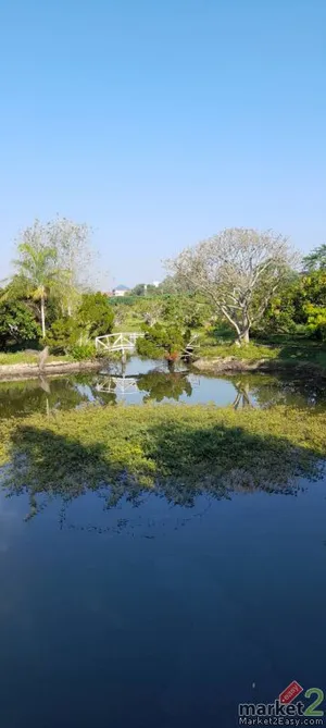 ขายบ้านและสวน ตำบลหนองหาร อำเภอสันทราย จังหวัดเชียงใหม่