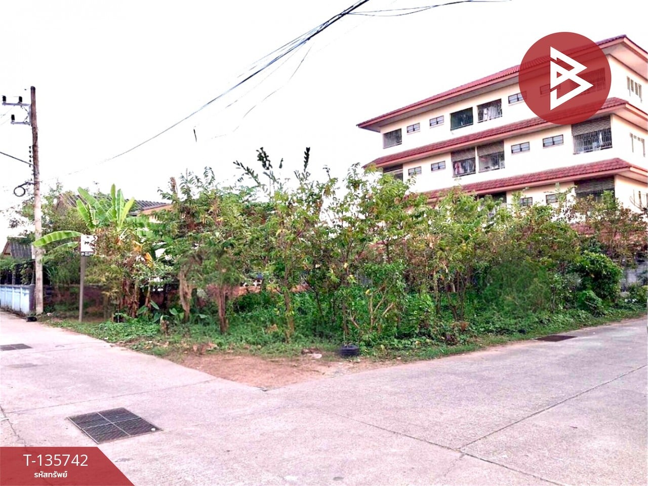 ขายที่ดิน ทำเลดี เนื้อที่ 1 งาน ต.ท่าอิฐ ทำเลดี อุตรดิตถ์