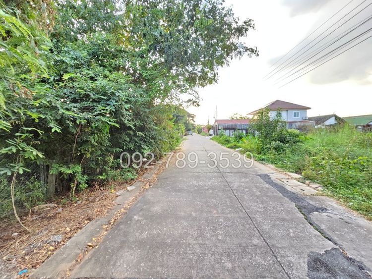ขายที่ดินเมืองพิษณุโลก 378 ตร.วา ถ.ชัยบุรี1 ใกล้วัดอรัญญิก พิษณุโลก, ภาพที่ 4