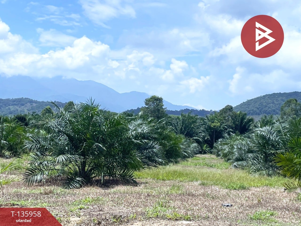 ขายที่ดินพร้อมสวน เนื้อที่ 16 ไร่ 2 งาน 89 ตร.วา นบพิตำ นครศรีธรรมราช