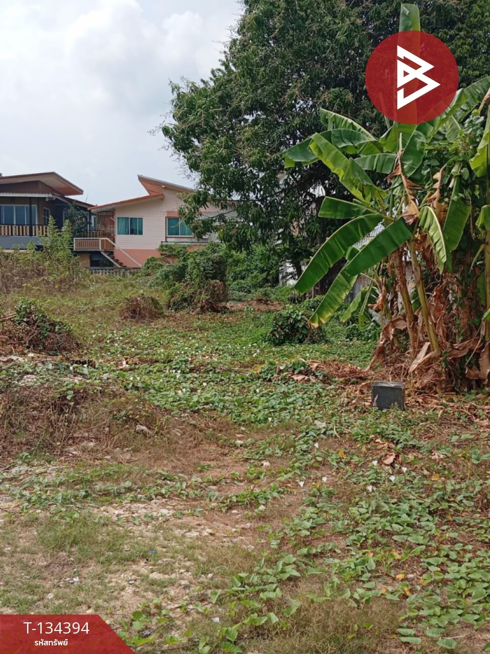 ขายที่ดิน เนื้อที่ 2 งาน 79 ตร.วา ท่าช้าง จันทบุรี
