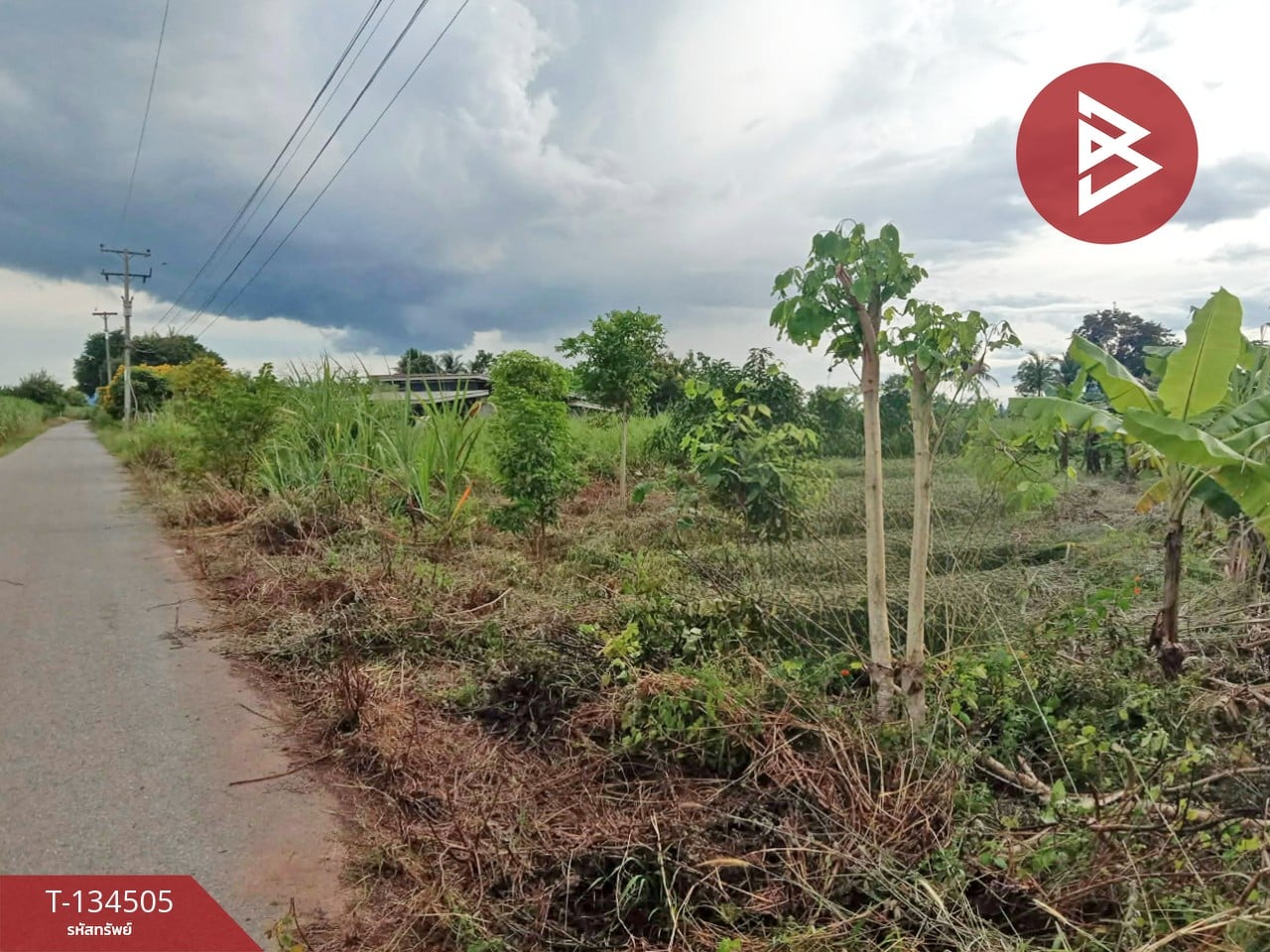 ขายที่ดิน เนื้อที่ 1 ไร่ ท่าม่วง กาญจนบุรี