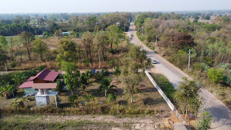 ขายบ้านเรือนไทยเนื้อที่ 2 ไร่, ภาพที่ 4